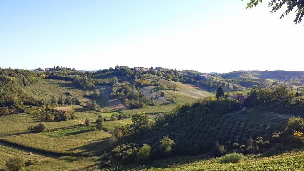 Alta Villa The Countryhouse Adults Only Boutique Bnb Vigliano d'Asti Eksteriør billede